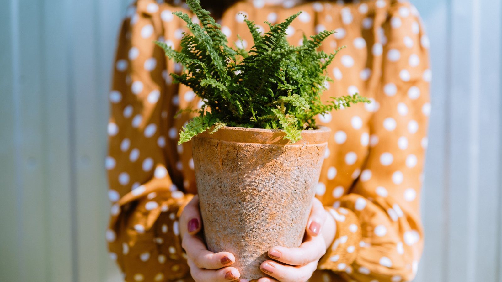 9 Difficult-to-Grow Houseplants That Are Worth The Fuss