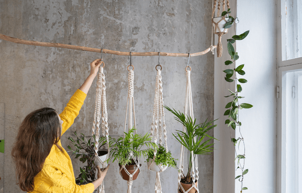 5 Must-Have Hanging Plants for a Stunning Home Makeover