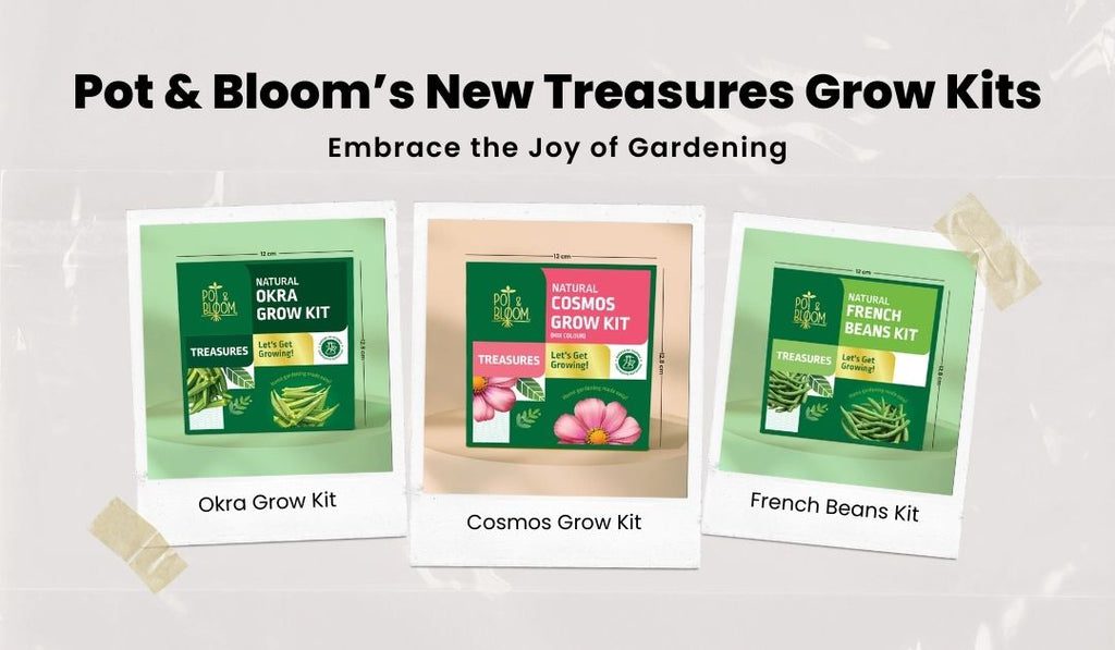 Pot & Bloom’s New Treasures Grow Kits – Pot and Bloom