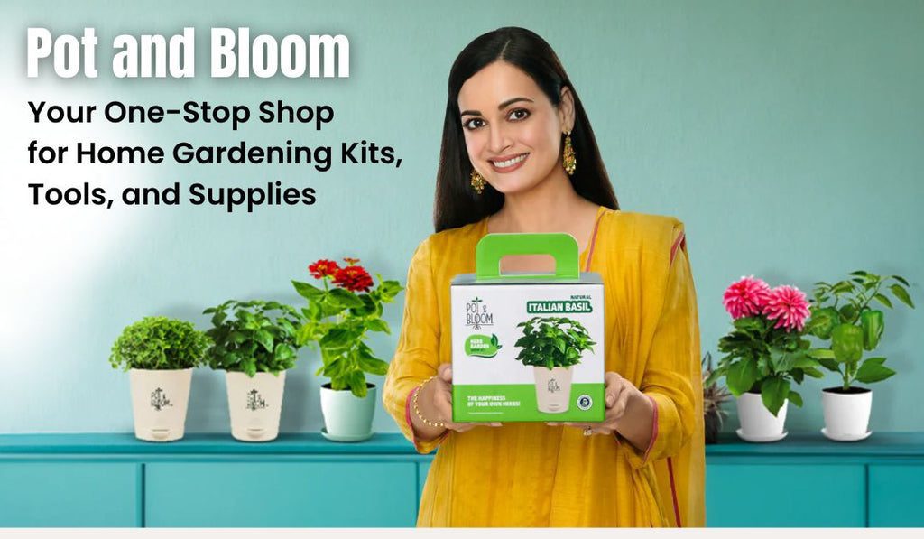 Your One-Stop Shop for Home Gardening Kits, Tools, and