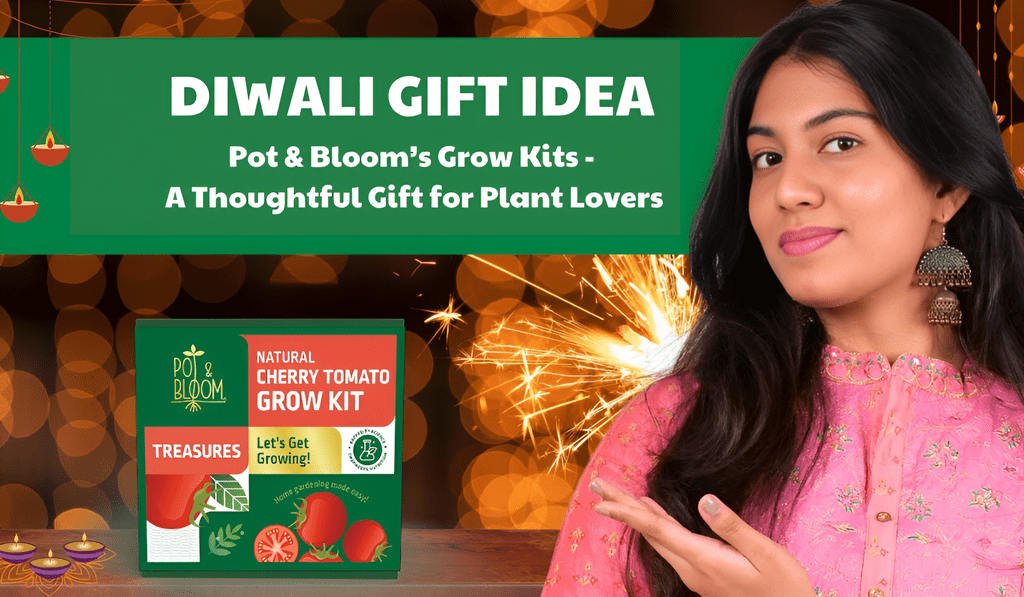 Pot & Bloom’s Grow Kits – A Thoughtful Gift for Plan – Pot and Bloom