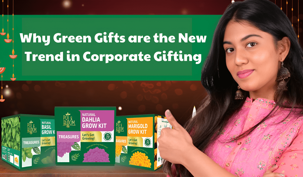 Why Green Gifts are the New Trend in Corporate Gifting – Pot and Bloom